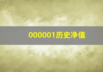 000001历史净值