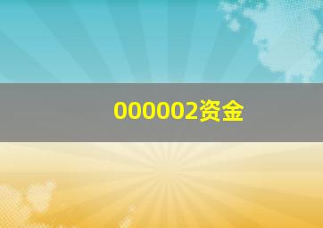 000002资金