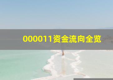 000011资金流向全览