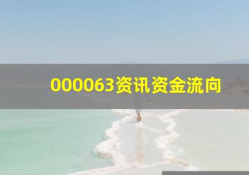 000063资讯资金流向