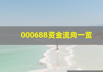 000688资金流向一览