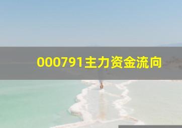 000791主力资金流向