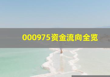 000975资金流向全览