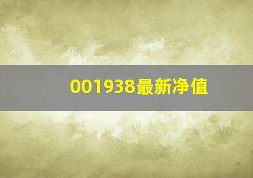 001938最新净值