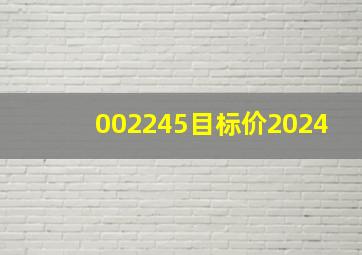 002245目标价2024