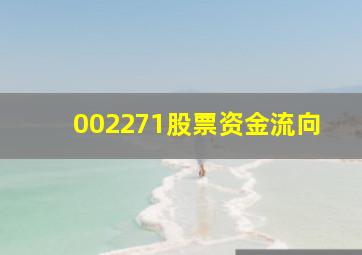 002271股票资金流向