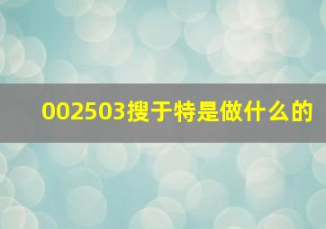 002503搜于特是做什么的