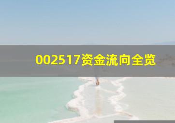 002517资金流向全览