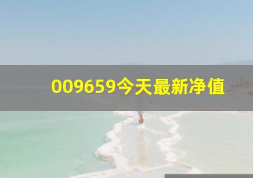 009659今天最新净值