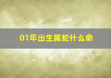 01年出生属蛇什么命