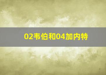 02韦伯和04加内特