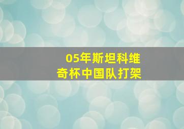 05年斯坦科维奇杯中国队打架