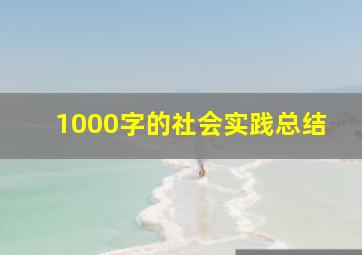 1000字的社会实践总结