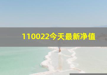 110022今天最新净值