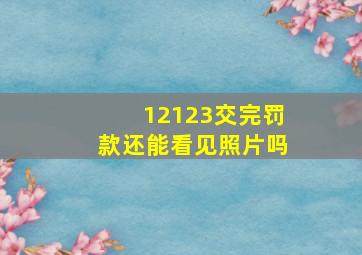 12123交完罚款还能看见照片吗