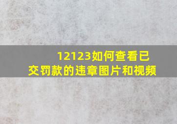 12123如何查看已交罚款的违章图片和视频