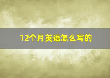 12个月英语怎么写的