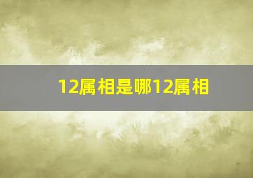 12属相是哪12属相