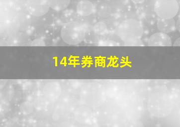 14年券商龙头