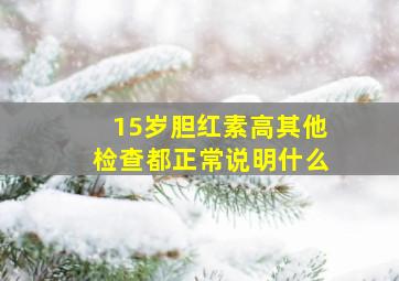 15岁胆红素高其他检查都正常说明什么