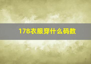 178衣服穿什么码数