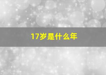 17岁是什么年