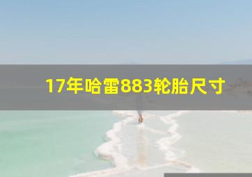 17年哈雷883轮胎尺寸