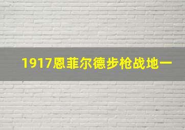 1917恩菲尔德步枪战地一