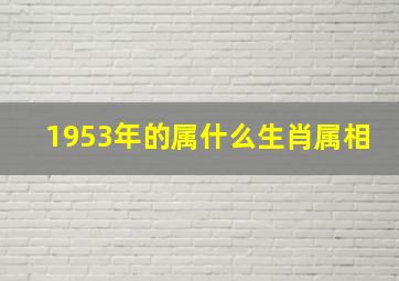 1953年的属什么生肖属相