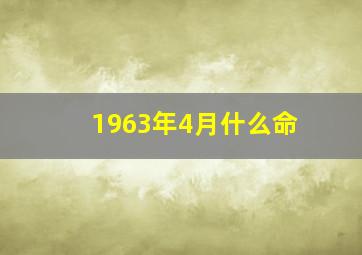 1963年4月什么命