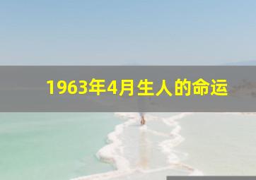 1963年4月生人的命运