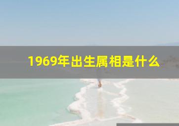 1969年出生属相是什么