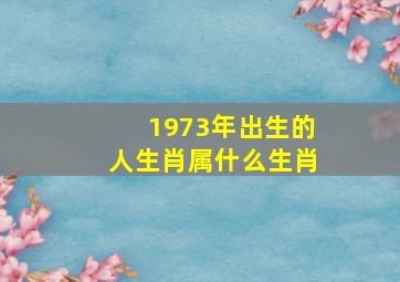 1973年出生的人生肖属什么生肖