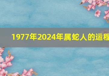 1977年2024年属蛇人的运程