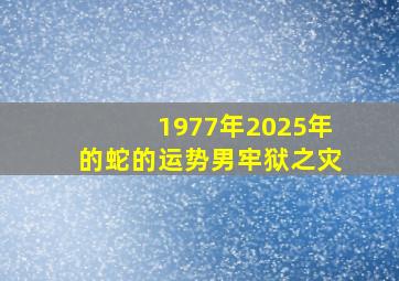 1977年2025年的蛇的运势男牢狱之灾