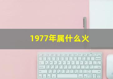 1977年属什么火