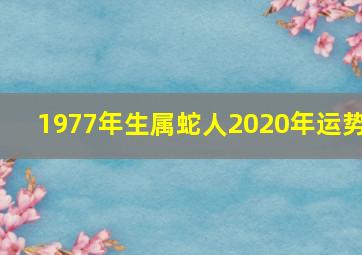 1977年生属蛇人2020年运势