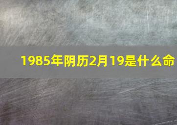 1985年阴历2月19是什么命