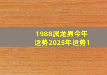 1988属龙男今年运势2025年运势1