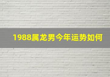 1988属龙男今年运势如何