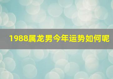 1988属龙男今年运势如何呢