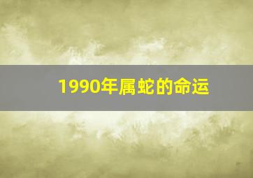 1990年属蛇的命运