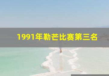 1991年勒芒比赛第三名