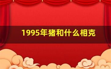 1995年猪和什么相克