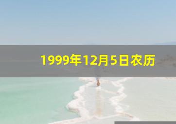 1999年12月5日农历