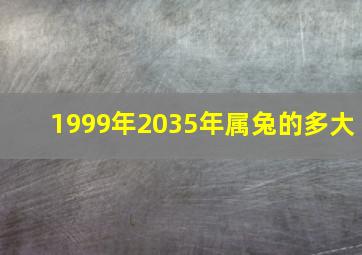 1999年2035年属兔的多大