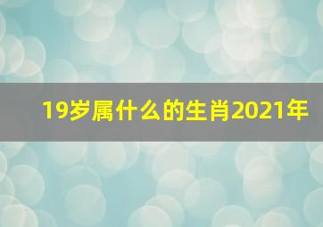 19岁属什么的生肖2021年