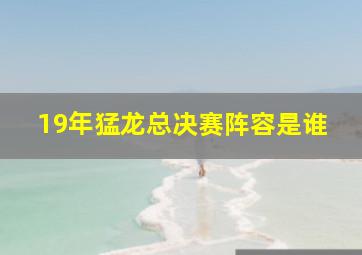 19年猛龙总决赛阵容是谁