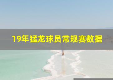 19年猛龙球员常规赛数据