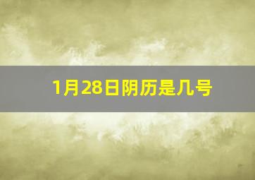 1月28日阴历是几号